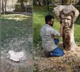 قطع تندیس محمدرضا شجریان در پارک ملت مشهد!