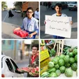 توزیع ۱۰۰۰ کیلو آب هندوانه در شیراز + عکس