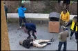 جزئیات نزاع خونین در پارک دانشجوی تهران