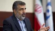 نیروگاه بوشهر با افزایش دما کاهش بهره‌وری ندارد/ صادرات رادیوداروهای تولیدی به ۱۴ کشور جهان