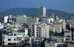 دورنمای «شمال شهر تهران» از شمس العماره؛ سال ۱۲۴۵ شمسی