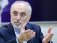 صالحی: انقلاب اسلامی ما ظرفیت اصلاحی دارد