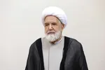 عکس| عیادت مهدی کروبی از موسوی لاری