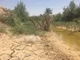 سرچشمه خشکی خوزستان!/ دلایل کم آبی خوزستان چیست؟