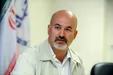 هشدار یک فعال محیط زیست: غذا دادن به سگ و گربه و پرنده دوستی کاذب است!