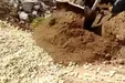 نجات زن ۷۹ ساله که به دست پسرش زنده به گور شده بود!