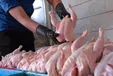 مرغداران در هر کیلو مرغ ۵ هزار تومان ضرر می‌کنند