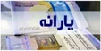سامانه حمایت برای اعتراض قطع یارانه از دسترس خارج شد