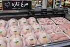 قیمت مرغ بازهم گران شد