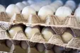 هر شانه تخم مرغ به چه قیمتی در میادین میوه و تره بار فروخته می‌شود؟