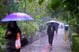 بارش باران در شهریور و مهر در محدوده نرمال خواهد بود