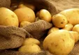 قیمت سیب‌زمینی پس از واردات ارزان شد