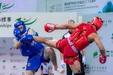 نایب‌قهرمانی ووشوی ایران در آسیا