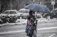 ببینید| شروع بارش زیبای برف در مشهد؛ دقایقی قبل