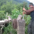 تلم زنی چست + فیلم