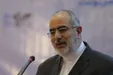 کنایه تند مشاور روحانی به مخالفان دولت