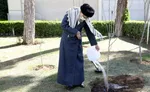 رهبر انقلاب: تخریب جنگل، تخریب منافع ملی است
