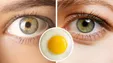 ۷ ماده‌ی غذایی برای افزایش رشد مژه‌ها