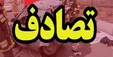 اخبار حوادث/ مصدومیت ۱۵ زائر ایرانی در پی واژگونی یک ون +اسامی