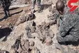 اینجا اوج وحشیگری داعشی هاست! + عکس تکاندهنده