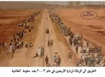 پیاده روی اربعین در سال ٢٠٠٣ میلادی + عکس