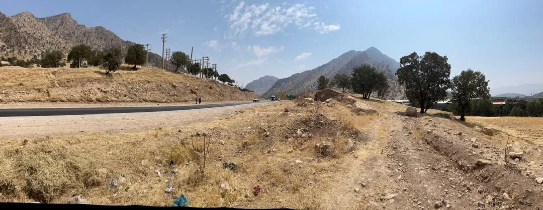 کل دالو