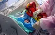 شناسایی نوزاد سه روزه مبتلا به ویروس کرونا در تربت جام