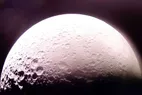 میکروب‌های زمینی می توانند در ماه زنده بمانند!