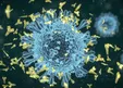 نابود‌ی ویروس کرونا در ۲ دقیقه