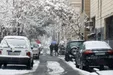 پیش‌بینی آب و هوای ایران پنجشنبه ۱۶ بهمن ۱۴۰۴