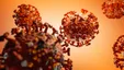شایعات کرونایی؛ از ادرار شتر و گاو تا تغییر DNA