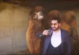 تبلیغ کننده نوشیدن ادرار شتر بازداشت شد
