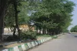 دختر ۱۴ساله: او میان درختان بلوار به من تجاوز کرد