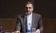 در پرونده روح الله زم هیچکس از دولت و قوه قضاییه بازداشت نشده است/ بیخود گمانه‌زنی نکنید