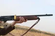 قتل پدر با شلیک گلوله در میانه