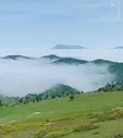 نمایی زیبا از جنگل ابر در شاهرود + عکس