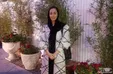 ناپدید شدن نرگس محمدی پیش از جشن عروسی‌اش!