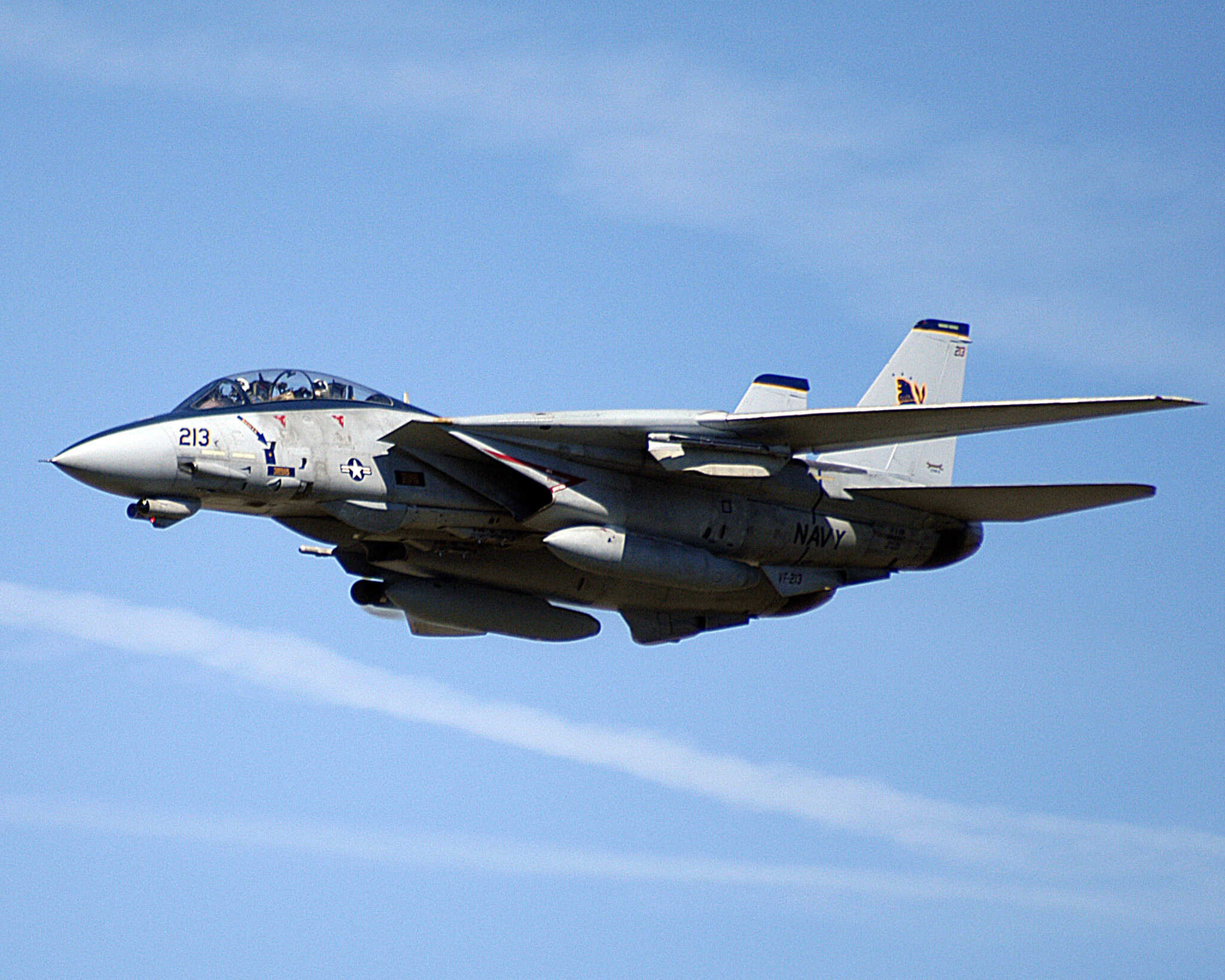 جنگنده F-14 Tomcat
