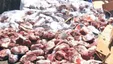 ماجرای واردات گوشت‌های فاسد از مغولستان به تهران
