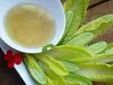 خوراکی مخصوص سیزده بدر/ کاهو و سکنجبین