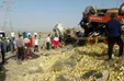 برخورد اتوبوس با تریلی در خراسان جنوبی / ۹ کشته و ۱۰ مصدوم