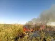دستگیری ۲ نفر از عاملان آتش‌سوزی هورالعظیم