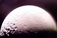 میکروب‌های زمینی می توانند در ماه زنده بمانند!
