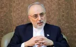 ببینید| صالحی: مجلس در طرح مقابله با نفوذ بیگانگان تجدیدنظر کند