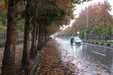 هشدار سیلابی شدن رودخانه‌ها در سیستان و بلوچستان، کرمان، هرمزگان، خراسان رضوی و جنوبی