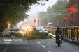 تهران و ۶ استان دیگر در انتظار توفان
