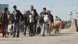 ویدئویی باورنکردنی از هجوم اتباع افغان به ایران