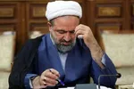 ببینید| قاضی پور: رسایی زندان نرفته، هتل رفته است!