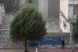 وزش باد شدید در ۱۱ استان کشور