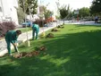 کاشت چمن در تهران ممنوع شد/ نحوه آبیاری فضای سبز بسیار مورد انتقاد است